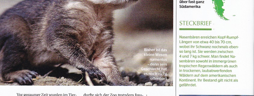 Herz für Tiere 2015 Tiergarten Mönchengladbach